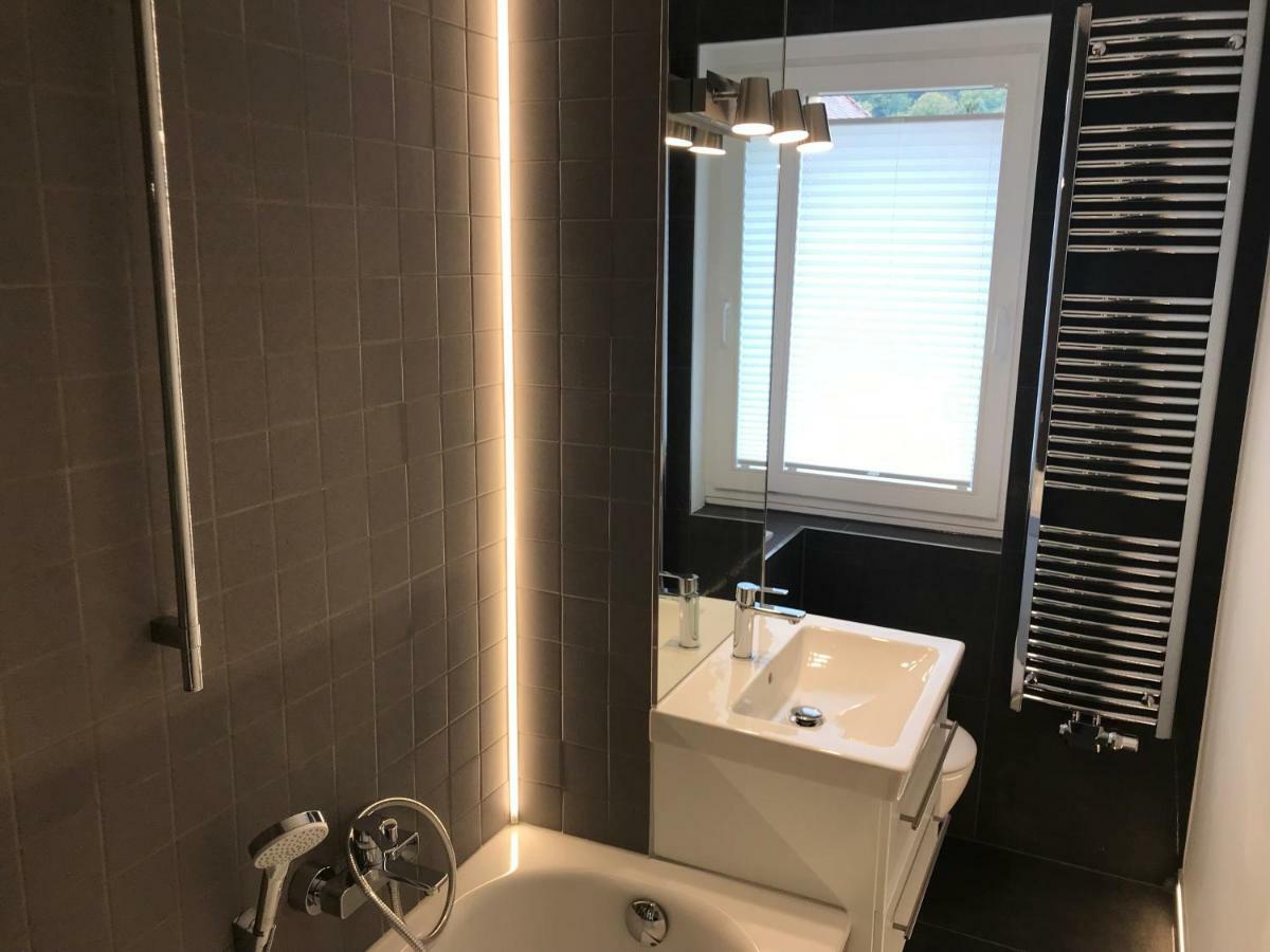 Zentrum Apartment Bad Schandau Kültér fotó